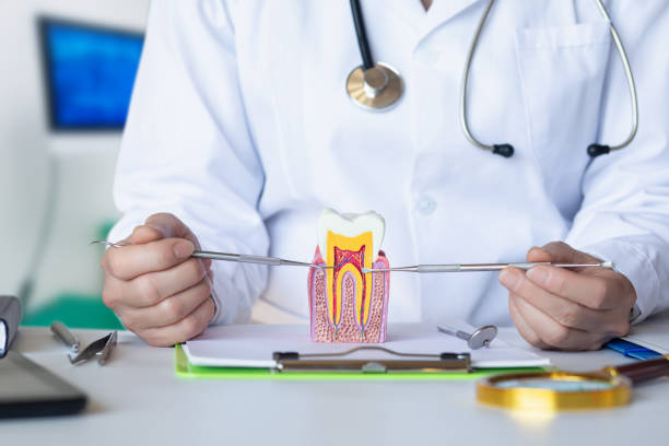Best Pediatric Emergency Dentist in Walnut Cove, NC